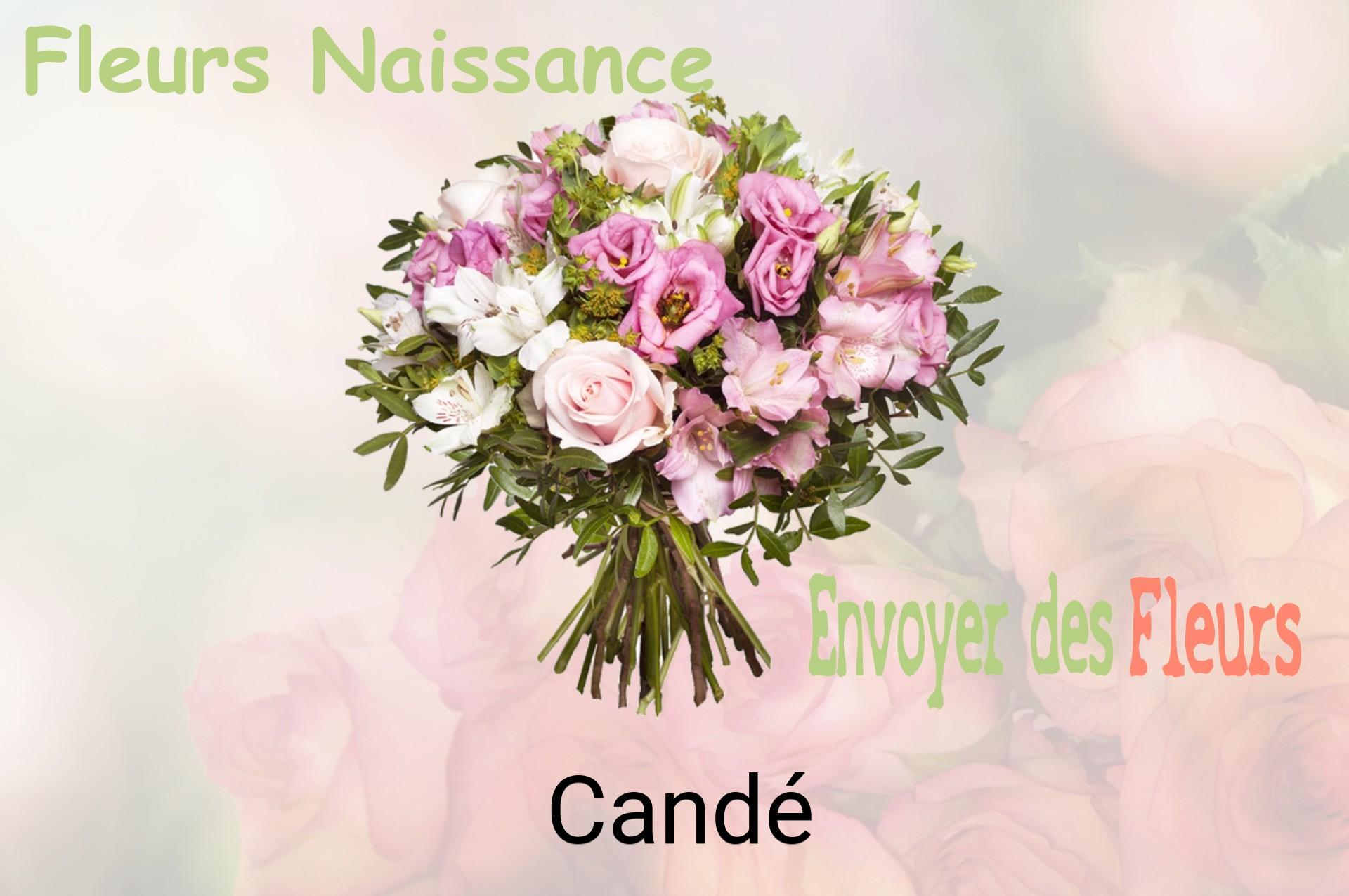 Bouquet de fleurs de naissance livré à Candé